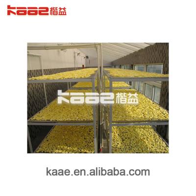 China High efficiency easy operate automatic fruit and vegetable chips increased system can process a wide variety of fruits and vegetables for sale