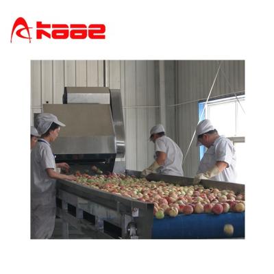 China Full Automatic SUS304 Peach Pulp / Puree Production Line for sale