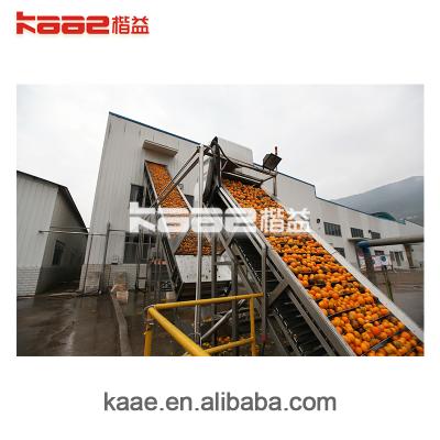 China High efficiency china supplier orange juice processing line various machine for various orange for sale