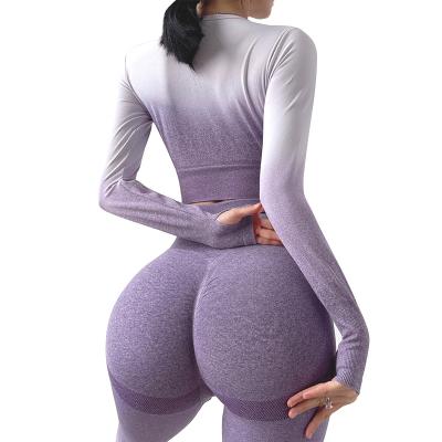 China Women's Ombre Legging Seamless Butt Breathable Soft Sleeve Tummy Control Long Scrunch! crack! and top set for sale