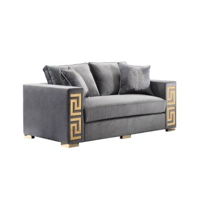 China Other Manufacturer Hot Sale Modern Luxury Living Room Sofa Set Design Fabric Double Sofa for sale