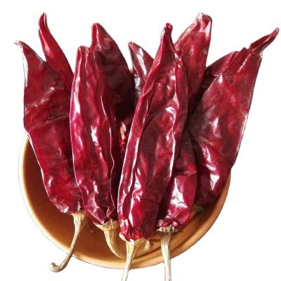 China China Dried DRIED CHILIS For Producing Chilli Sauce With HACCP Certificate for sale