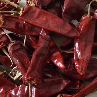 China China Exporters Dry Chilli Manufacturers Good Flavor Dried Chilli Pepper for sale