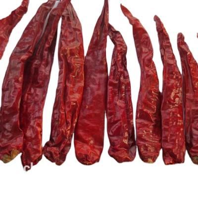 China Dried red chili peppers market for sale