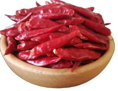 China New Culture Dried Chilli Factory Chinese Exporter Dried Fresh Red Hot Henan, Henan, Henan Chilli Pods Selling Well In Indonesia for sale