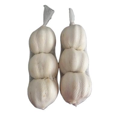 China Nitrogen and China Fresh Fresh Garlic Vacuum Jar Packed Peeled Garlic with HACCP and HALAL Certificates for sale