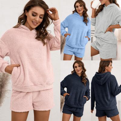 China Anti-Wrinkle 2022 Two Piece Set Hoodie Home Pink Blue Hooded Sweatshirt Set Casual Loungewear Long Sleeve Tops Plush Double Sided Suit for sale