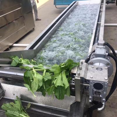 China food & Beverage factory strawberry cleaning and drying machine line/vegetable washing and bleaching line for sale