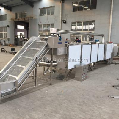 China food & Beverage Factory Ginger Mango Tea Leaf Drying Machine for sale