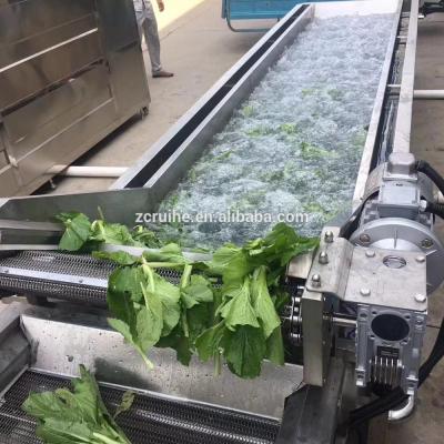 China food & Beverage Factory Fresh Fruits And Vegetables Bubble Washing Machine for sale