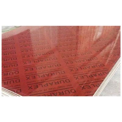 China Wholesale Industrial Set Quality Panel Decor Wood Construction Laminated Panel for sale