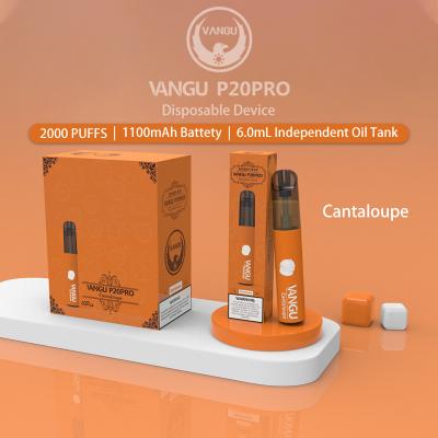 China 6.0ml Cantaloupe Liquid Electronic Cigarette 2000 Puffs Mesh Coil for sale