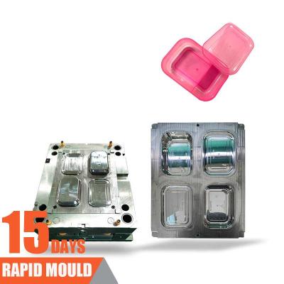 China Plastic Injection Molding Plastic Injection Mold for Plastic Products Making for sale