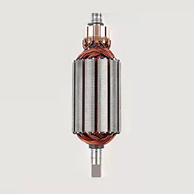 China High Quality Durable Using Various Armature Stator Motor Brushless DC Motor Rotor Ws-34 New 2021 for sale