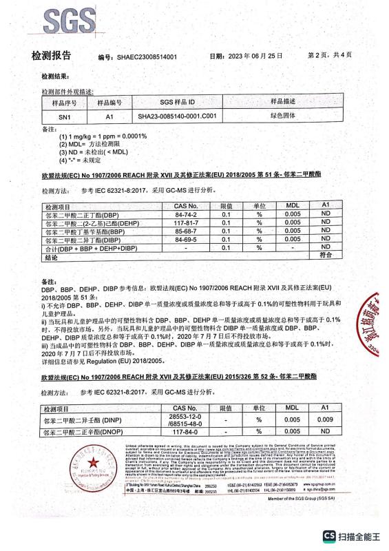 SGS - Zhejiang Rongyin New Material Technology Co., Ltd.