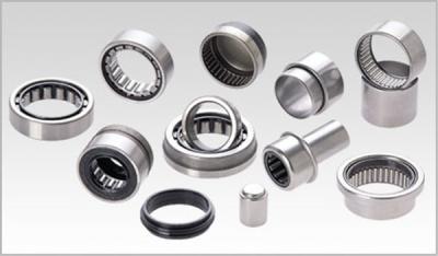 China Needle Roller Bearing NK24/16 Without Inner Ring For General Projects for sale