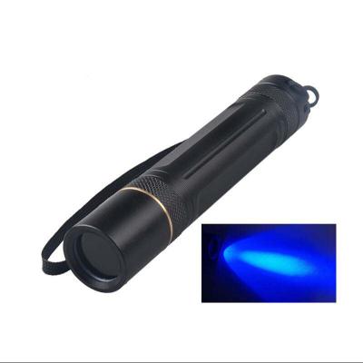 China For Pet Spots Use Pocket 5W LED UV Light Flashlight 365nm Black Ultra Violet Ultra Violet Lantern With Filter Lens Black Pet Urine Detect for sale