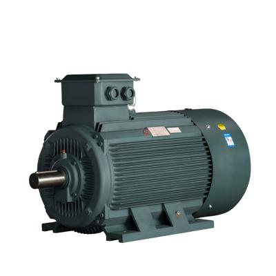 China YE2 Series High Efficiency Totally Enclosed Three-Phase Asynchronous Motors for sale