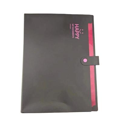 China Office School Folder PP EXPANDING FOLDER For A4 Documants Matt PP Button Closure 12 Pockets Expense Folder Flap for sale