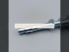 OEM ODM Custom Expansion Anchor Bolt Common Bolt Connection for Performanc
