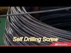 ss304 ss410 self drilling screw grade 10.9 carbon steel screw