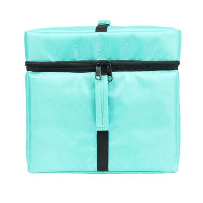 China Sales High Capacity Food Delivery Cooler Bag Waterproof Fresh Vegetable Cooler Freezer Bag for sale