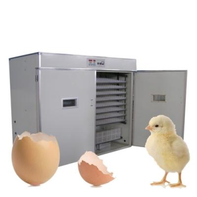 China Shandong 1056 automatic egg incubator/chicken egg incubator hatcher for sale for sale