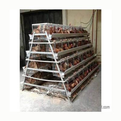 China Hot Selling Farms 3 Layers 4 Layers Chicken Layer Battery Cage for sale