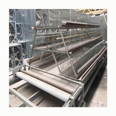 China Cultivates One Type Poultry Farm Battery Hot Dipped Galvanized Layer Chicken Cage for sale