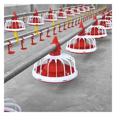 China Safeguard Breeding Cost Automatic Poultry Farming Raising Chicken Farm Equipment Floor Feeding System for sale