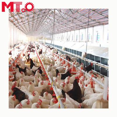 China Low cost high output automatic broiler lifting floor feeding system for sale for sale