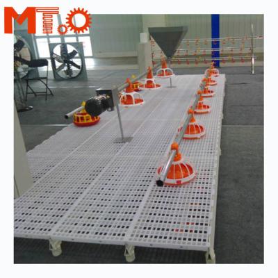 China Low Cost Chicken Floor Raising Line Automatic Poultry Broiler Farm Equipment Poultry Feeding System For Broiler Farm for sale