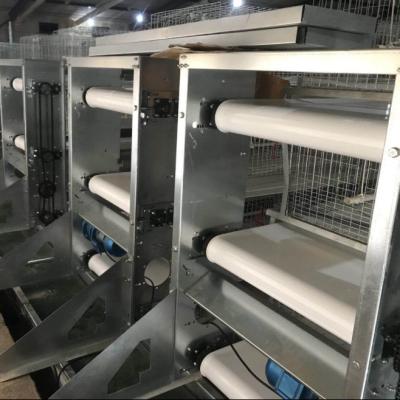 China Modern Automatic Chicken Farm Battery Chicken Cage Broiler for sale