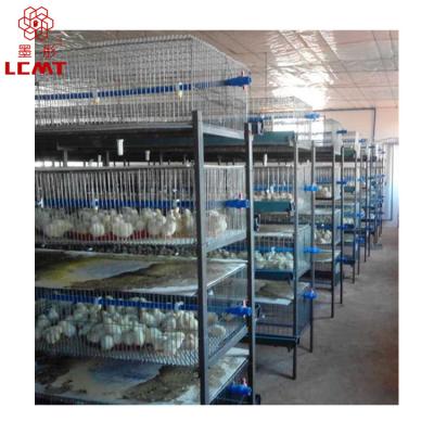 China Automatic Full Automatic Efficient Breeding Chicken Broiler Cage for sale