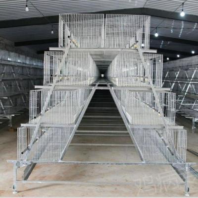 China Higher Raising Density And Lower Price Automatic Good Investment A Type Layer Chicken Cage For Poultry Farm for sale