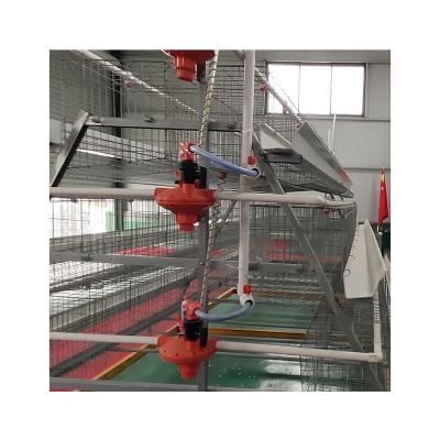 China Farms Pakistan Poultry Farm Equipment Egg Laying Hens Battery Chicken Layer Cage For Sale for sale