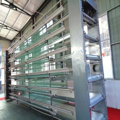 China Poultry Farm Equipment Durable Automatic Chicken Layer Battery Cage For Sale In USA for sale