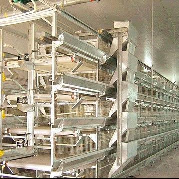 China Durable Complete Layer Automatic Laying Layer / Eggs Battery H Type Chicken Cages System for sale