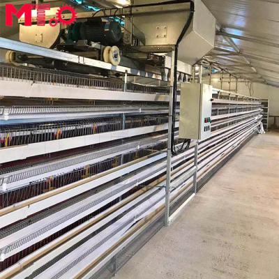 China Farms Good Quality Automatic Layer Quail Cage for sale