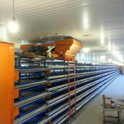 China Hot Selling Quail Automatic Quail Layer Cage For Sale In Philippines for sale