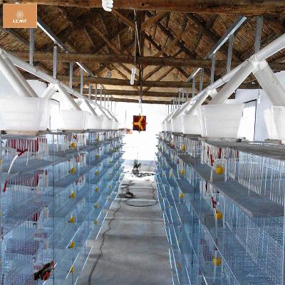 China Bird Automatic Quail Layer Cage Best Quality Poultry Farm New Design For Farm for sale