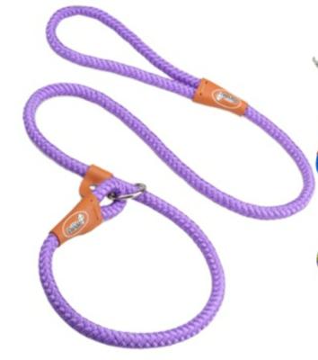 China 2021 Viable Dog Collar And Leash Set P Nylon Chain Dog Training Leash Collar And Leash Set for sale