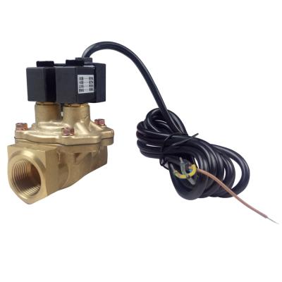 China High Flow Wire Type Fuel Dispenser Parts Fuel Dispenser 220v Solenoid Valves for sale