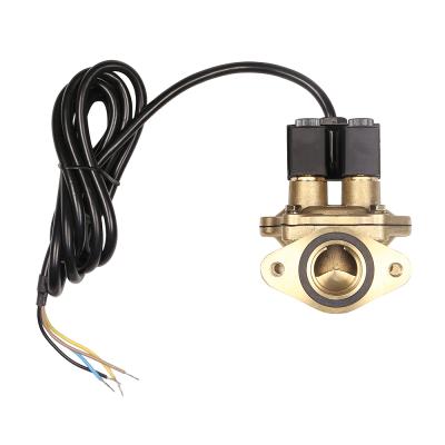 China High Flow 12vdc 24vdc 110 AC 220 Double Flow Solenoid Valve For Fuel Dispenser Flow Meter for sale