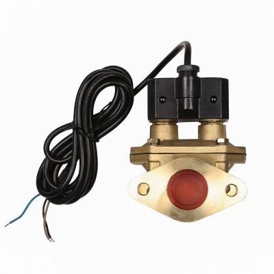 China High Flow Electrovalvulas 2 Volts Fuel Dispenser Non-Return Valve for sale