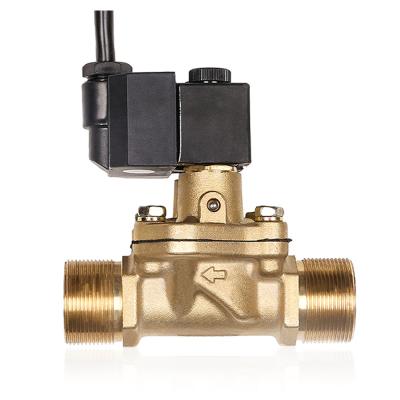 China High Flow 220v AC 110v 24v DC 12v Brass Wire Fuel Dispenser Solenoid Valve for sale