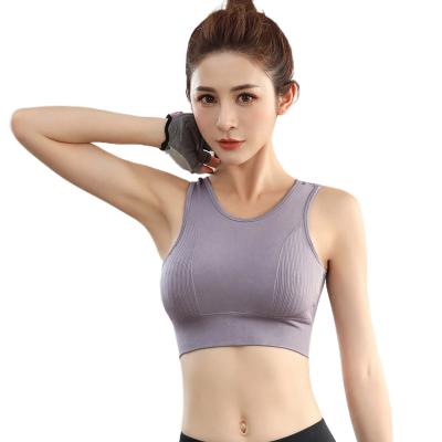 China Sexy QUICK DRY Women Hollow Out Mesh Beauty Back Fitness Custom Size Plus Sports Bra Top Fitness for sale