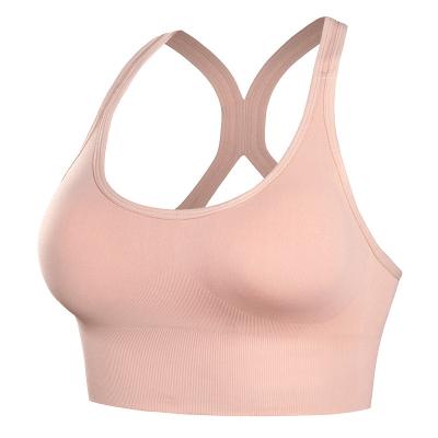 China High Quality QUICK DRY Yoga Fitness Wear Sportswear Gym Ribbed Seamless Yoga Sports Bra for sale