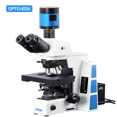 China FB motorizado biológico opto Xyz del microscopio de Edu M12.5850 en venta