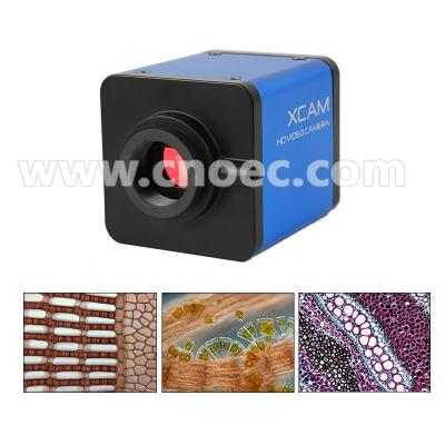 Cina La macchina fotografica/VGA di COMS ha prodotto gli accessori A59.2217 del microscopio della macchina fotografica del microscopio di Digital in vendita